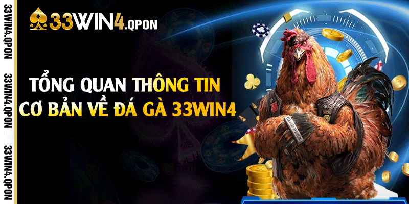 Tổng quan thông tin cơ bản về đá gà 33win4