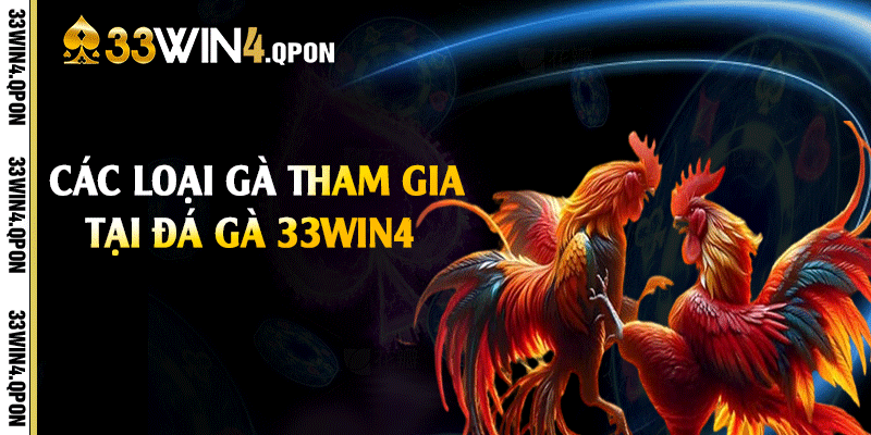 Các loại gà tham gia tại đá gà 33win4
